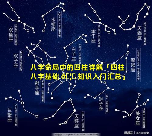 八字命局中的四柱详解「四柱八字基础 🦄 知识入门汇总」